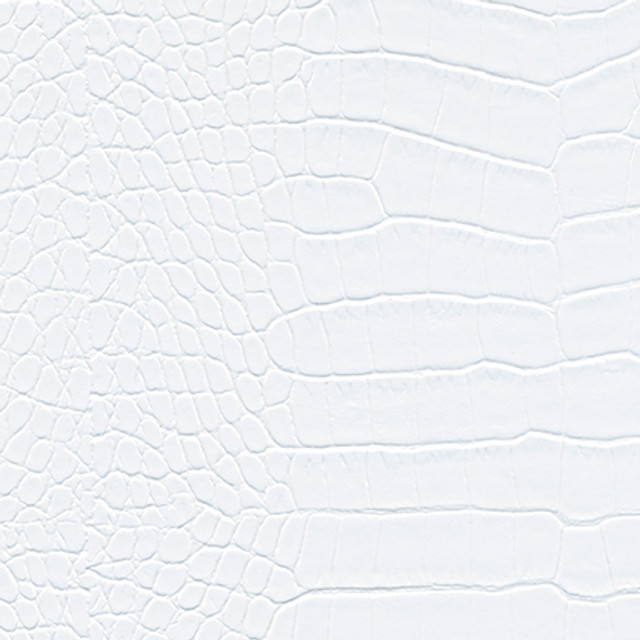 Hogan-Nj # 546 Avalanche by Maxwell Fabric Memos Only-Coated Fabrics FACE: 100% PVC
BACKING: 65% POLYESTER
35% COTTON KOREA V-11" H-8.25" 54" - Fabric Carolina -