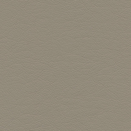 Highborn-Nj # 403 Cliff by Maxwell Fabric Memos Only-Coated Fabrics FACE: 100% POLYURETHANE
BACKING: 65% POLYESTER
35% COTTON CHINA 54" - Fabric Carolina -