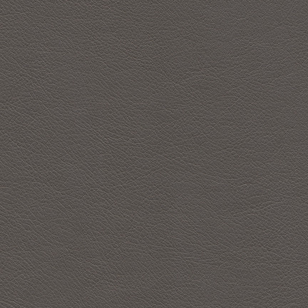 Highborn-Nj # 406 Friesian by Maxwell Fabric Memos Only-Coated Fabrics FACE: 100% POLYURETHANE
BACKING: 65% POLYESTER
35% COTTON CHINA 54" - Fabric Carolina -