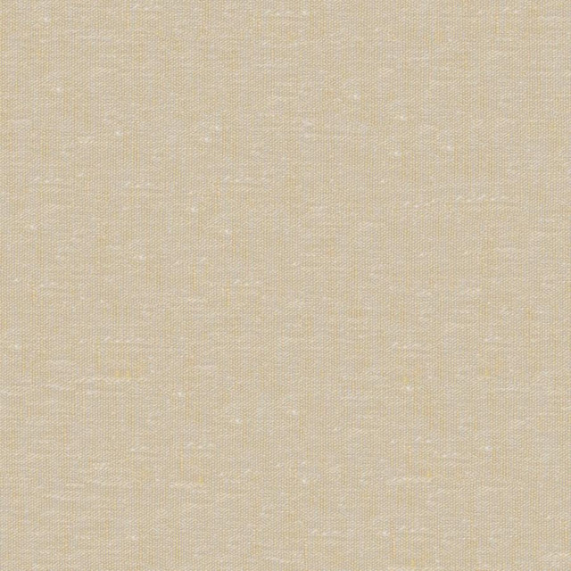 Sandro # 111 Melon by Maxwell Fabric Wide Width Basics Ii 74% RECYCLED POLYESTER
26% LINEN INDIA 121" - Fabric Carolina -