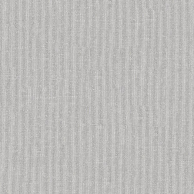 Sandro # 135 Zinc by Maxwell Fabric Wide Width Basics Ii 74% RECYCLED POLYESTER
26% LINEN INDIA 121" - Fabric Carolina -