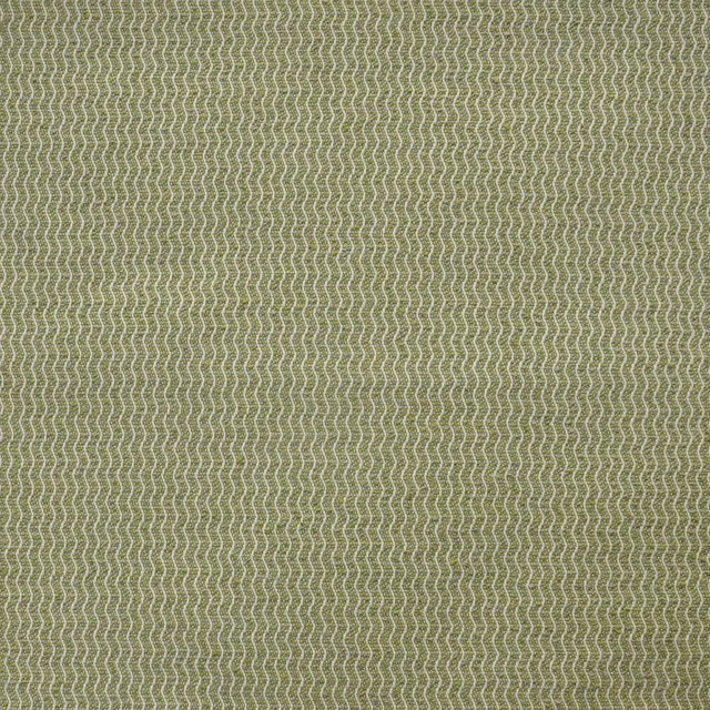 Spinnaker # 801 Kelp by Maxwell Fabric Home & Garden-Act Ix 100% OUTDURA SOLUTION-DYED ACRYLIC USA 54" - Fabric Carolina -