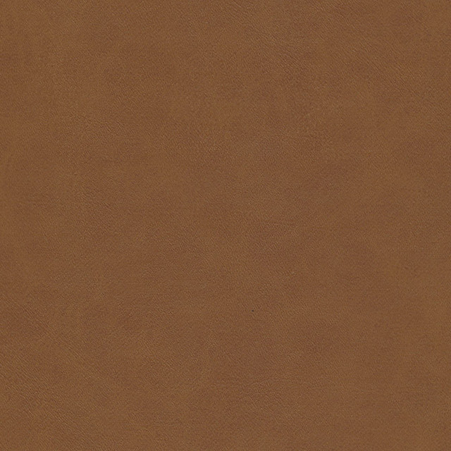 Boyden-Nj # 927 Sycamore by Maxwell Fabric Memos Only-Coated Fabrics FACE: 100% PVC
BACKING: 100% POLYESTER KOREA 54" - Fabric Carolina -