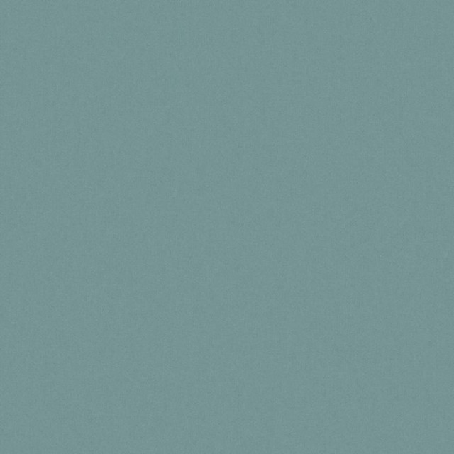 Zaitun # 513 Spa by Maxwell Fabric Pure & Simple Xvi 100% ORGANIC COTTON INDIA 55" - Fabric Carolina -