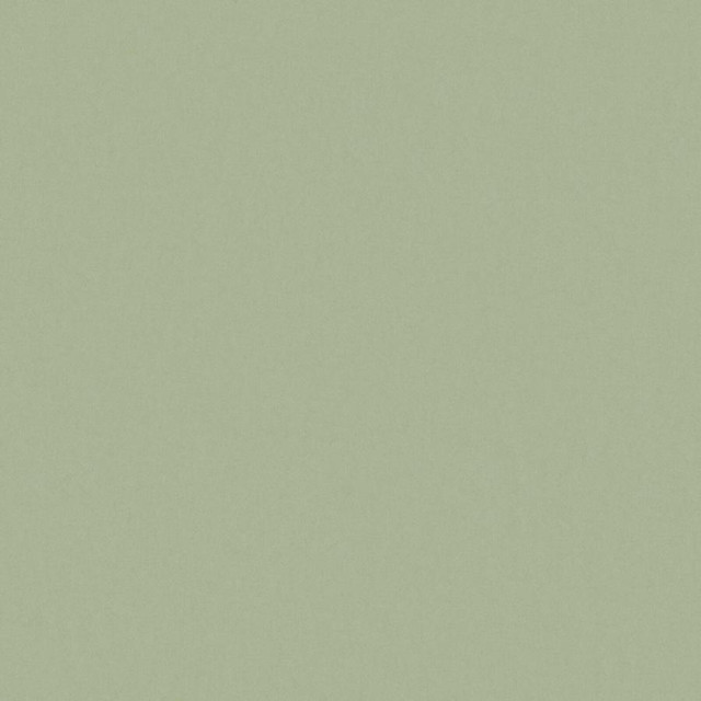 Zaitun # 517 Linden by Maxwell Fabric Pure & Simple Xvi 100% ORGANIC COTTON INDIA 55" - Fabric Carolina -