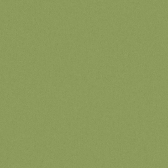 Zaitun # 519 Hedge by Maxwell Fabric Pure & Simple Xvi 100% ORGANIC COTTON INDIA 55" - Fabric Carolina -
