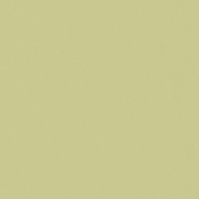 Zaitun # 520 Apple by Maxwell Fabric Pure & Simple Xvi 100% ORGANIC COTTON INDIA 55" - Fabric Carolina -