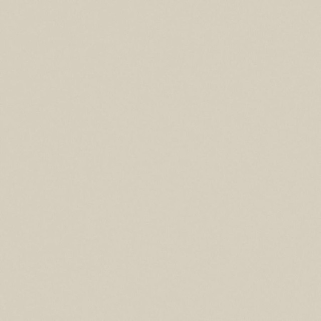 Zaitun # 552 Rattan by Maxwell Fabric Pure & Simple Xvi 100% ORGANIC COTTON INDIA 55" - Fabric Carolina -