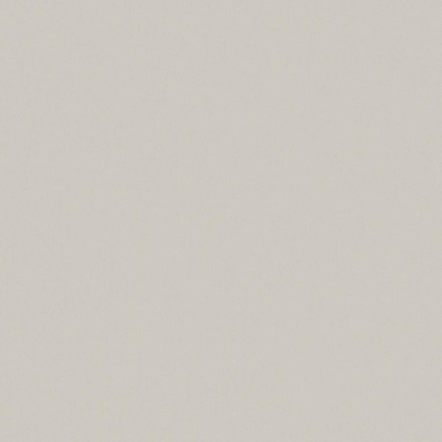 Zaitun # 554 Fresco by Maxwell Fabric Pure & Simple Xvi 100% ORGANIC COTTON INDIA 55" - Fabric Carolina -