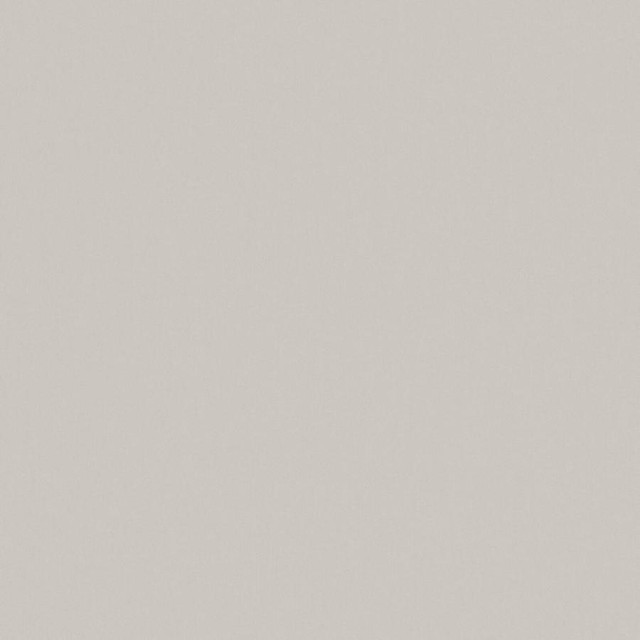 Zaitun # 555 Limestone by Maxwell Fabric Pure & Simple Xvi 100% ORGANIC COTTON INDIA 55" - Fabric Carolina -