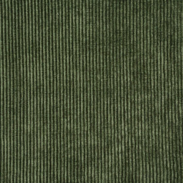Railtown # 914 Cucumber by Maxwell Fabric Performance Wovens-Vol. Vii Tidepool 100% POLYESTER CHINA 55" - Fabric Carolina -