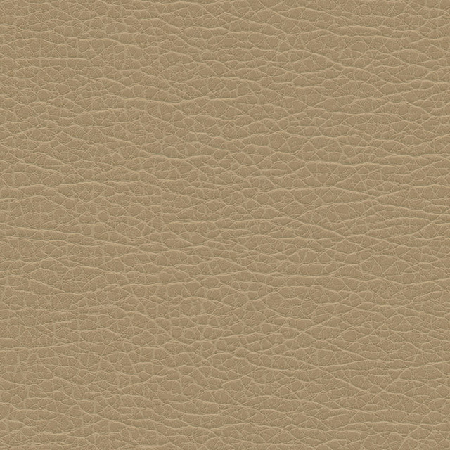 Spire-Nj # 1193 Latte by Maxwell Fabric Memos Only-Coated Fabrics FACE: 100% PVC
BACKING: 100% POLYESTER VIETNAM 54" - Fabric Carolina -