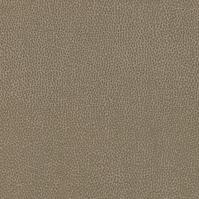 Levant-Nj # 1184 Earth by Maxwell Fabric Memos Only-Coated Fabrics FACE: 100% PVC
BACKING: 100% POLYESTER VIETNAM 54" - Fabric Carolina -