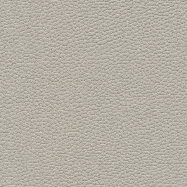 Tebessa-Nj # 139 Dove by Maxwell Fabric Memos Only-Coated Fabrics FACE: 100% PVC
BACKING: 100% POLYESTER VIETNAM 54" - Fabric Carolina -