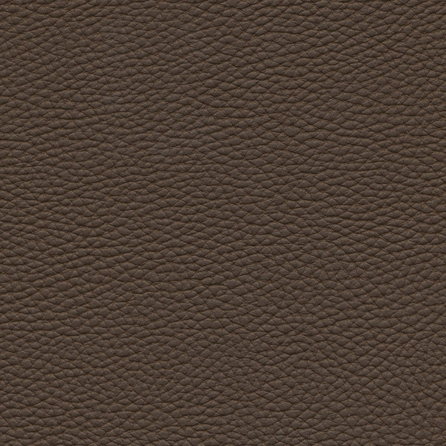 Tebessa-Nj # 143 Twig by Maxwell Fabric Memos Only-Coated Fabrics FACE: 100% PVC
BACKING: 100% POLYESTER VIETNAM 54" - Fabric Carolina -