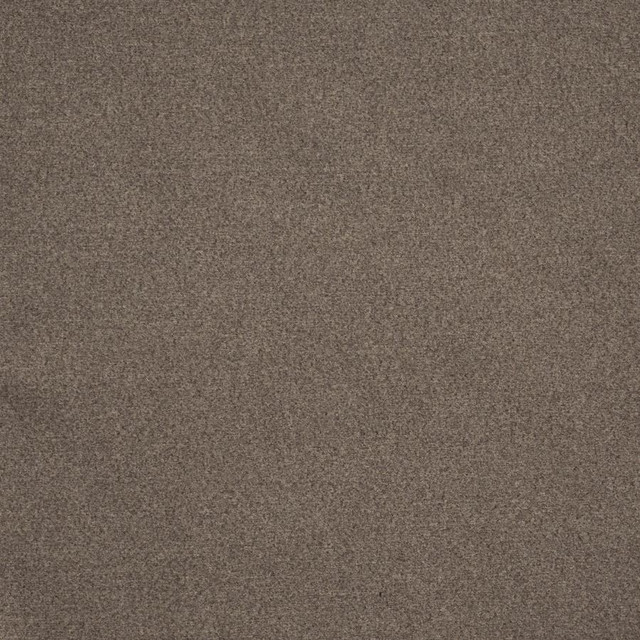 Melton # 728 Ash by Maxwell Fabric Performance Wovens-Vol. Vii Gold Rush 100% POLYESTER CHINA 54" - Fabric Carolina -