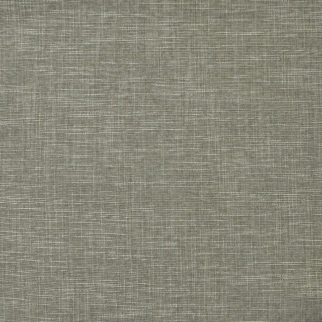 Daintree # 509 Rockwall by Maxwell Fabric Pure & Simple Xv 65% POLYESTER/35%VISCOSE CHINA 55" - Fabric Carolina -