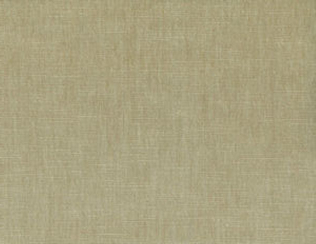 Belmont Champagne 207 by Norbar Fabric BELMONT 62% POLYESTER 38% COTTON INDIA 54 - Fabric Carolina -