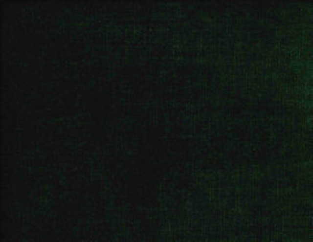 Belmont Jungle 338 by Norbar Fabric BELMONT 62% POLYESTER 38% COTTON INDIA 54 - Fabric Carolina - Belmont Jungle 338 by Norbar Fabric BELMONT 62% POLYESTER 38% COTTON INDIA 54 - Fabric Carolina -