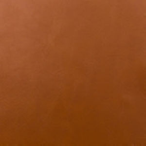 Dakar Caramel by Norbar Fabric DAKAR 100% PVC CHINA 54 - Fabric Carolina -