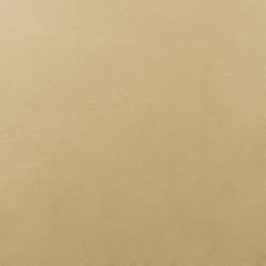Dakar Sand by Norbar Fabric DAKAR 100% PVC CHINA 54 - Fabric Carolina -