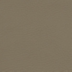 Napa Mushroom by Norbar Fabric DAKAR 100% PVC CHINA 54" - Fabric Carolina -