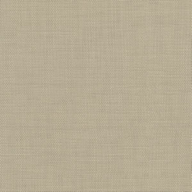 Conway Flaxen by Norbar Fabric FAMOUS 100% COTTON PAKISTAN 54 - Fabric Carolina -