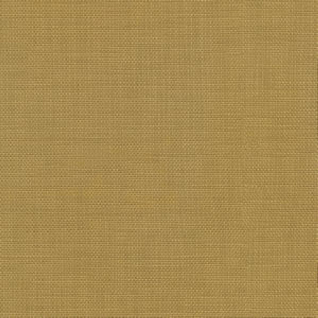 Conway Gold by Norbar Fabric FAMOUS 100% COTTON PAKISTAN 54 - Fabric Carolina -