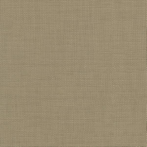 Conway Mushroom by Norbar Fabric FAMOUS 100% COTTON PAKISTAN 54 - Fabric Carolina -