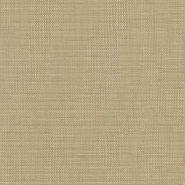 Conway Sesame by Norbar Fabric FAMOUS 100% COTTON PAKISTAN 54 - Fabric Carolina - Conway Sesame by Norbar Fabric FAMOUS 100% COTTON PAKISTAN 54 - Fabric Carolina -