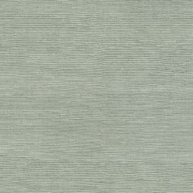 Famous Dove by Norbar Fabric FAMOUS 100% COTTON SPAIN 54 - Fabric Carolina -