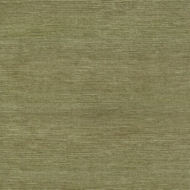Famous Driftwood by Norbar Fabric FAMOUS 100% COTTON SPAIN 54 - Fabric Carolina -