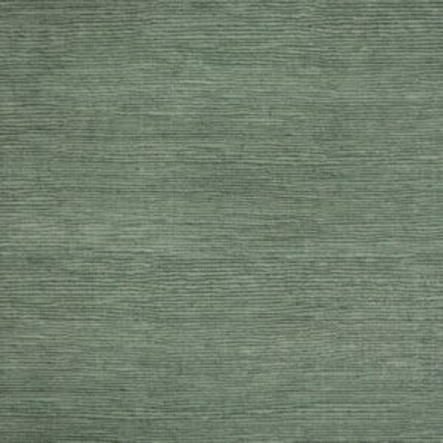 Famous Elephant by Norbar Fabric FAMOUS 100% COTTON SPAIN 54 - Fabric Carolina - Famous Elephant by Norbar Fabric FAMOUS 100% COTTON SPAIN 54 - Fabric Carolina -