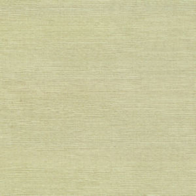 Famous Sand by Norbar Fabric FAMOUS 100% COTTON SPAIN 54 - Fabric Carolina -