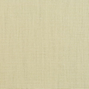 Frazzle Sandstone by Norbar Fabric LINEN LAVISH 100% LINEN BRAZIL 55 - Fabric Carolina -