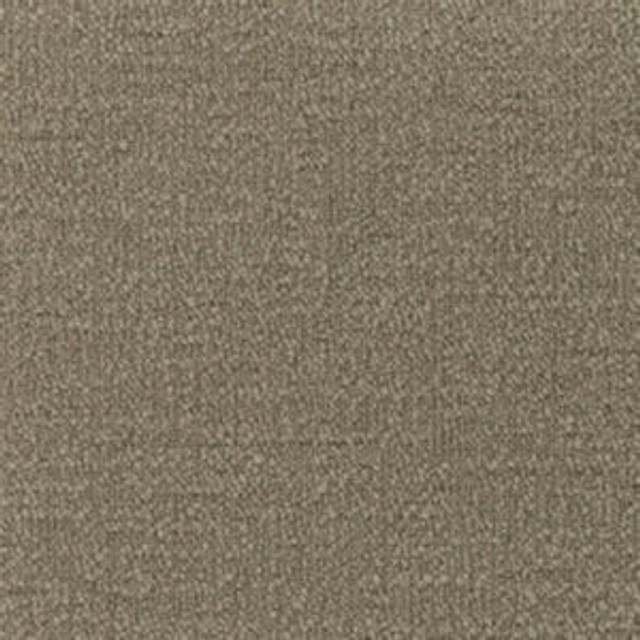 Prezzo Taupe 926 by Norbar Fabric PREZZO 100% POLYESTER INDIA 54 - Fabric Carolina - Prezzo Taupe 926 by Norbar Fabric PREZZO 100% POLYESTER INDIA 54 - Fabric Carolina -