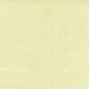 Pomona Fern by Norbar Fabric SOLEIL 100% SOLUTION DYED POLYESTER CHINA 54 - Fabric Carolina -