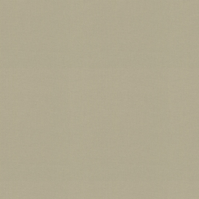 Raya Oyster 471434 by P/K LIFESTYLES Fabric - 100% recycled polyester India 51000 Horizontal: 0 and Vertical: 0 56 - Fabric Carolina - Raya Oyster 471434 by P/K LIFESTYLES Fabric - 100% recycled polyester India 51000 Horizontal: 0 and Vertical: 0 56 - Fabric Carolina -