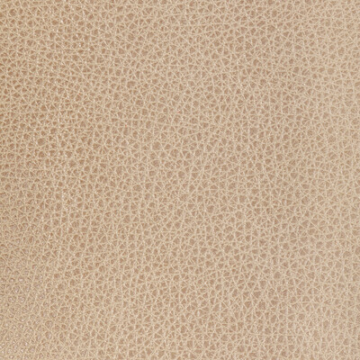 Kravet Design Upholstery L-BISON.OAT.0 Upholstery LEATHER - 100% Brazil </p><p>Repeat: H: , V: 27.5 21 - My Fabric Connection -