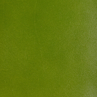 Kravet Design Upholstery L-COFFER.LIME.0 Upholstery LEATHER - 100% Italy </p><p>Repeat: H: , V: 27.5 21 - My Fabric Connection -