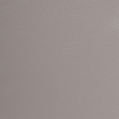 Kravet Design Upholstery L-DELUXE.SILVER.0 Upholstery LEATHER - 100% Brazil </p><p>Repeat: H: , V: 27.5 21 - My Fabric Connection -