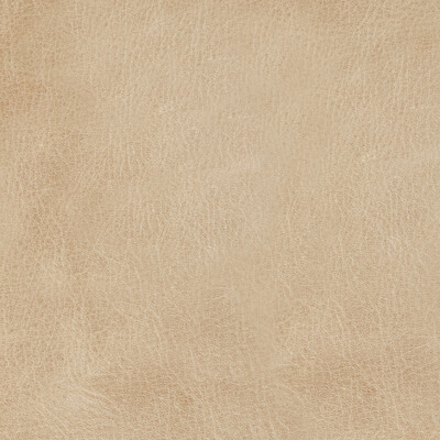 Kravet Design Upholstery L-MANE.DRIFT.0 Upholstery LEATHER - 100% Italy </p><p>Repeat: H: , V: 27.5 21 - My Fabric Connection -