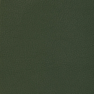 Kravet Design Upholstery L-MANZANO.SAGE.0 Upholstery LEATHER - 100% Italy </p><p>Repeat: H: , V: 27.5 21 - My Fabric Connection -