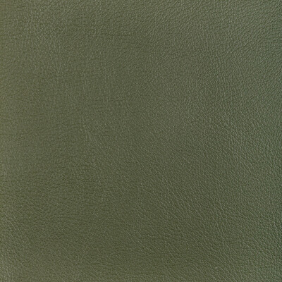 Kravet Design Upholstery L-OCOTILLO.HUNTER.0 Upholstery LEATHER - 100% Italy </p><p>Repeat: H: , V: 27.5 21 - My Fabric Connection -