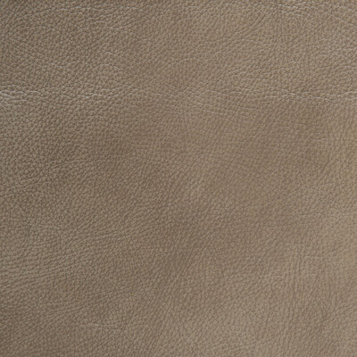 Kravet Design Upholstery L-SPECTRUM.WHISPER.0 Upholstery LEATHER - 100% United States </p><p>Repeat: H: , V: 27.5 21 - My Fabric Connection -