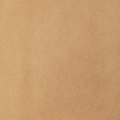 Kravet Design Upholstery L-TULAROSE.CAMEL.0 Upholstery LEATHER - 100% Italy </p><p>Repeat: H: , V: 27.5 21 - My Fabric Connection -