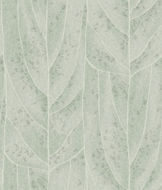 Dicot Spa Leaf Wallpaper by Candice Olson Natural Discovery Covers about 56.4 square feet 20.5-in by 33-ft long roll Unpasted 24 - Fabric Carolina - Dicot Spa Leaf Wallpaper by Candice Olson Natural Discovery Covers about 56.4 square feet 20.5-in by 33-ft long roll Unpasted 24 - Fabric Carolina -