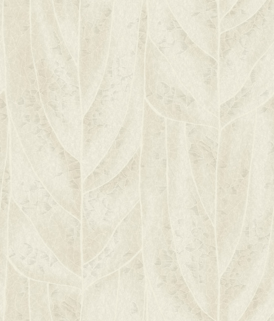 Dicot Neutral Leaf Wallpaper by Candice Olson Natural Discovery Covers about 56.4 square feet 20.5-in by 33-ft long roll Unpasted 24 - Fabric Carolina - Dicot Neutral Leaf Wallpaper by Candice Olson Natural Discovery Covers about 56.4 square feet 20.5-in by 33-ft long roll Unpasted 24 - Fabric Carolina -