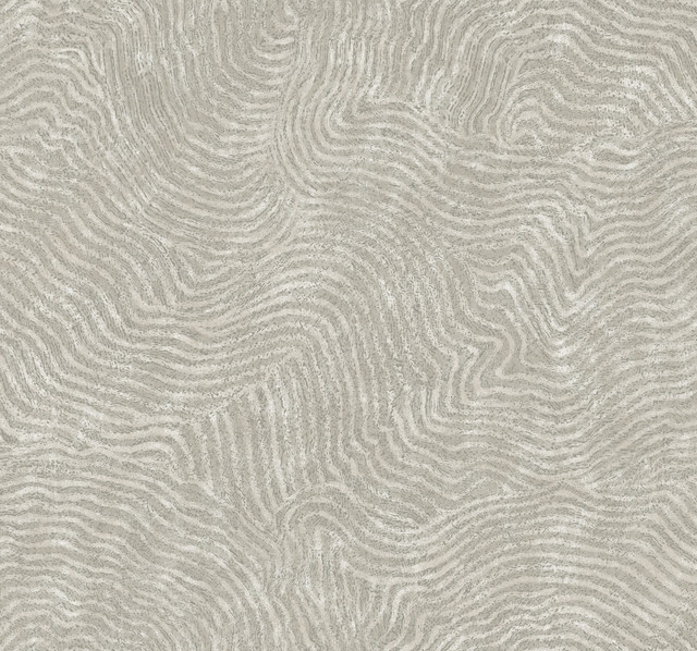 Modern Wood Grey Wallpaper by York Wallcoverings New Origins Covers about 60.8 square feet 27-in by 27-ft long roll Unpasted 25.25 - Fabric Carolina - Modern Wood Grey Wallpaper by York Wallcoverings New Origins Covers about 60.8 square feet 27-in by 27-ft long roll Unpasted 25.25 - Fabric Carolina -