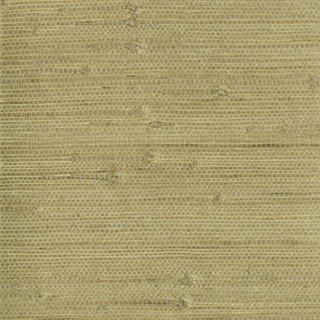 Heisoku Celery Paper Weave Wallpaper by Kenneth James Zen Grasscloth Covers about 72 square feet 36-in by 24-ft long roll Unpasted 0 - Fabric Carolina - Heisoku Celery Paper Weave Wallpaper by Kenneth James Zen Grasscloth Covers about 72 square feet 36-in by 24-ft long roll Unpasted 0 - Fabric Carolina -